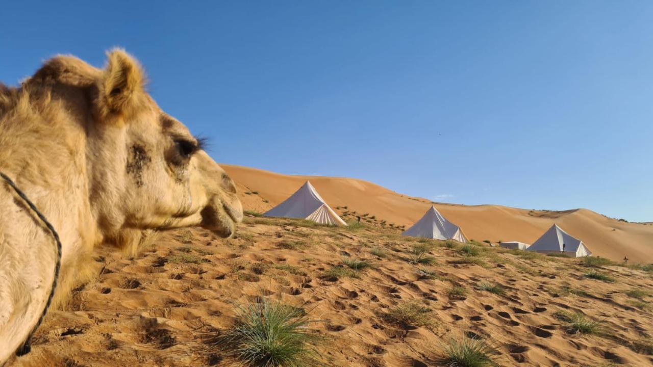 Desert Moments Glamping - Full Privacy Bidiya Экстерьер фото